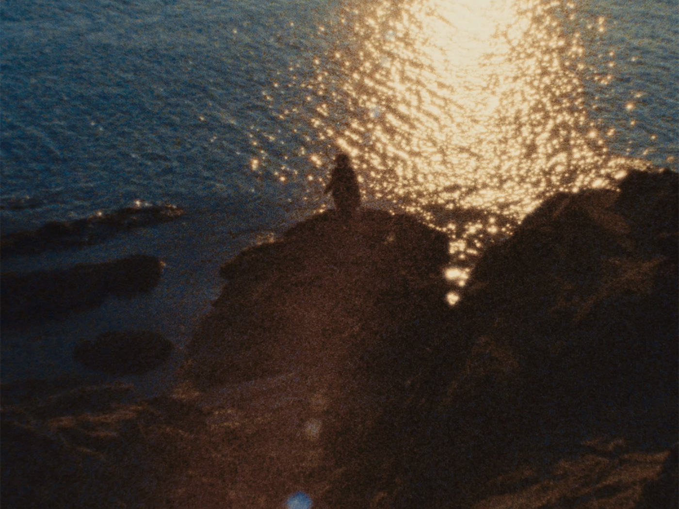 Mirko C DOP